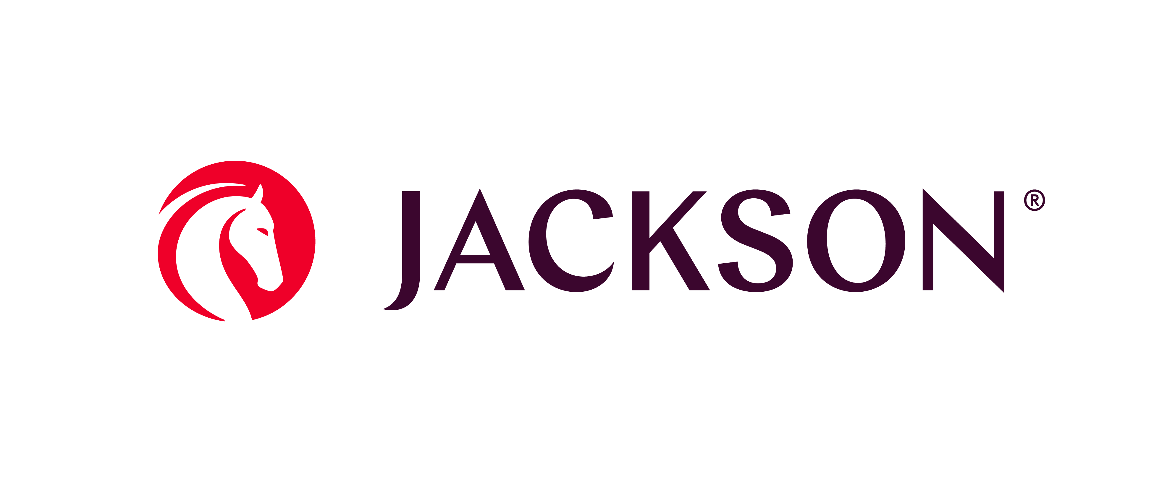 Jackson National Logo